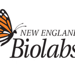 New England BioLabs Inc